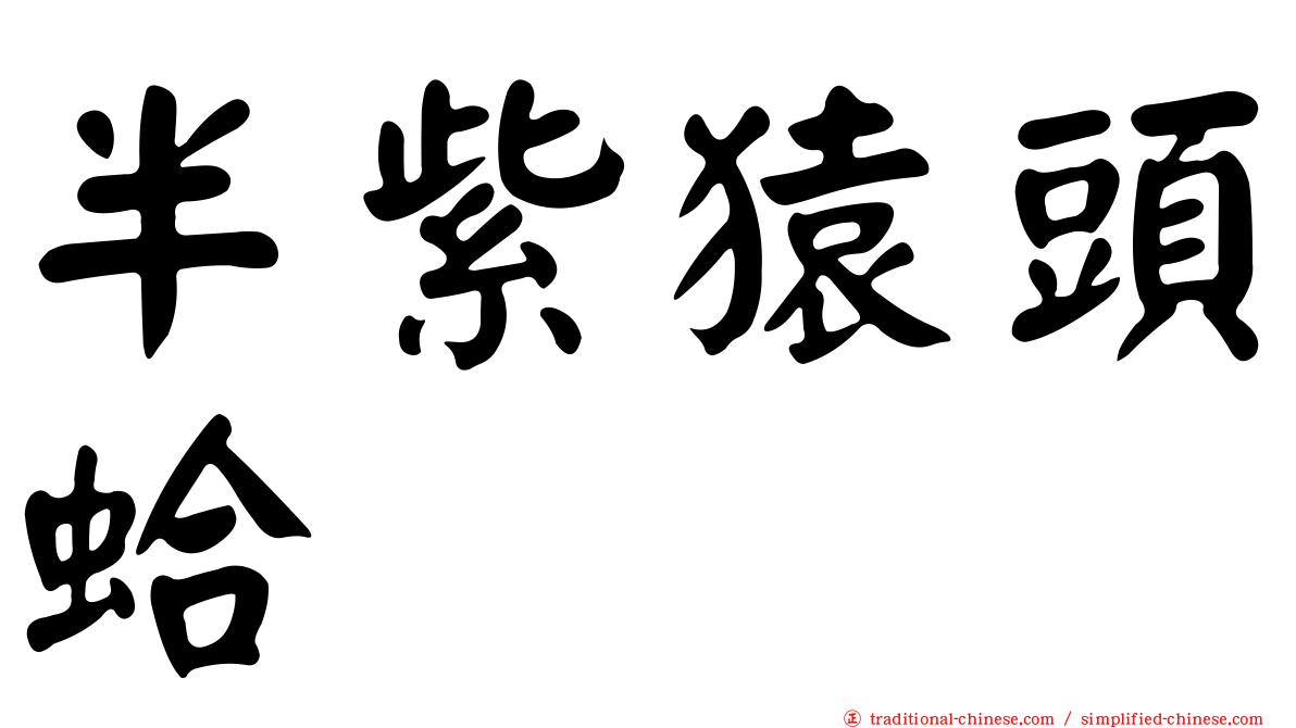 半紫猿頭蛤