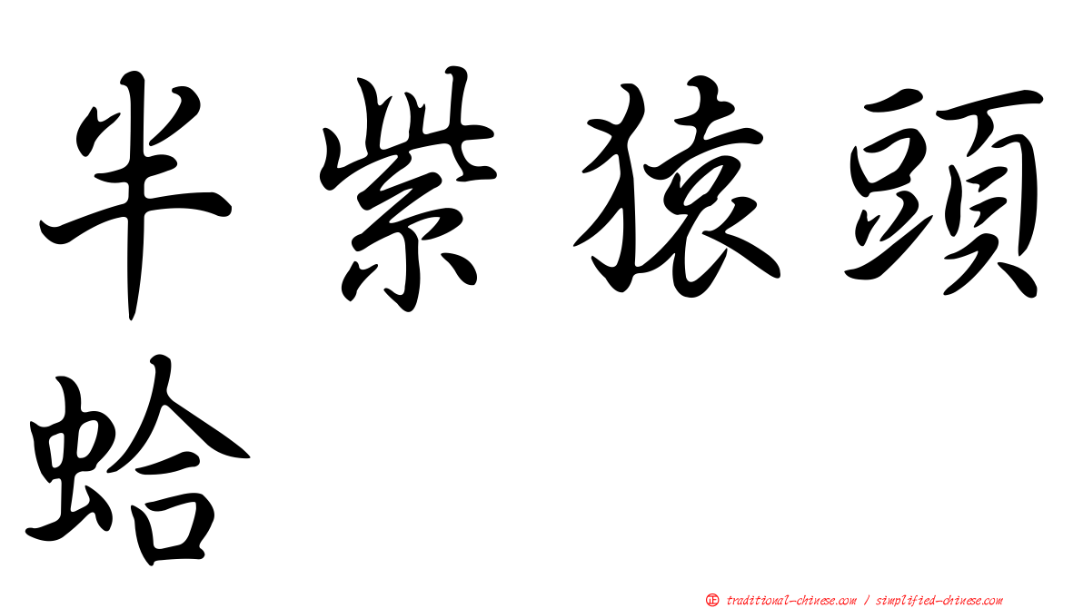 半紫猿頭蛤