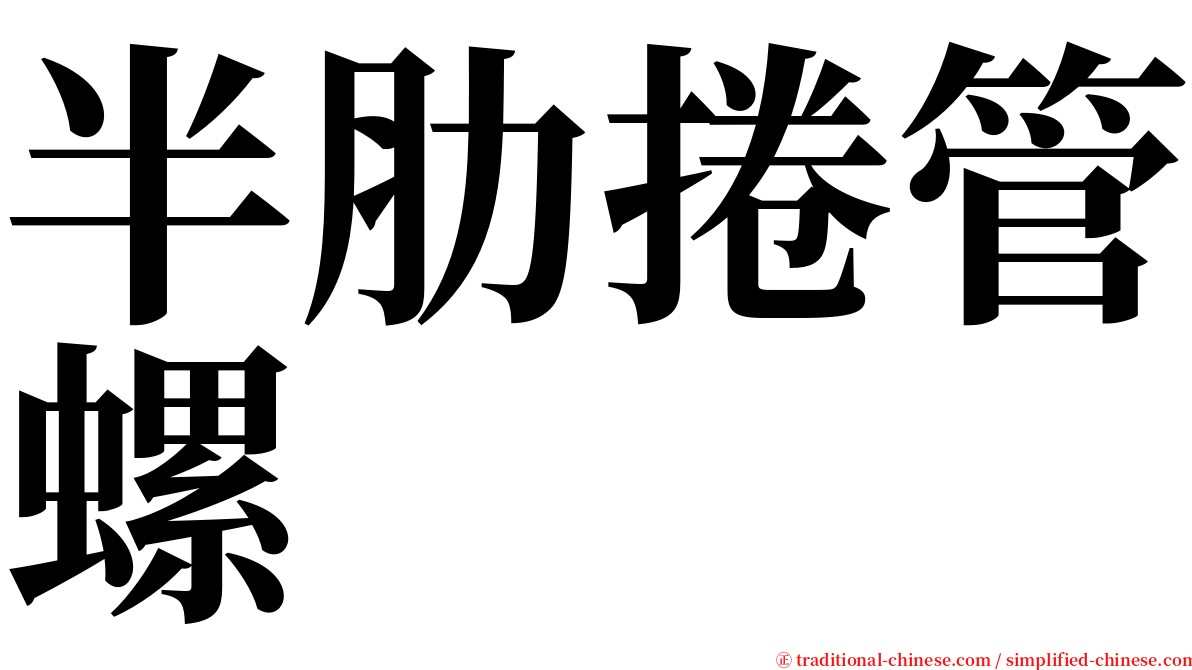 半肋捲管螺 serif font