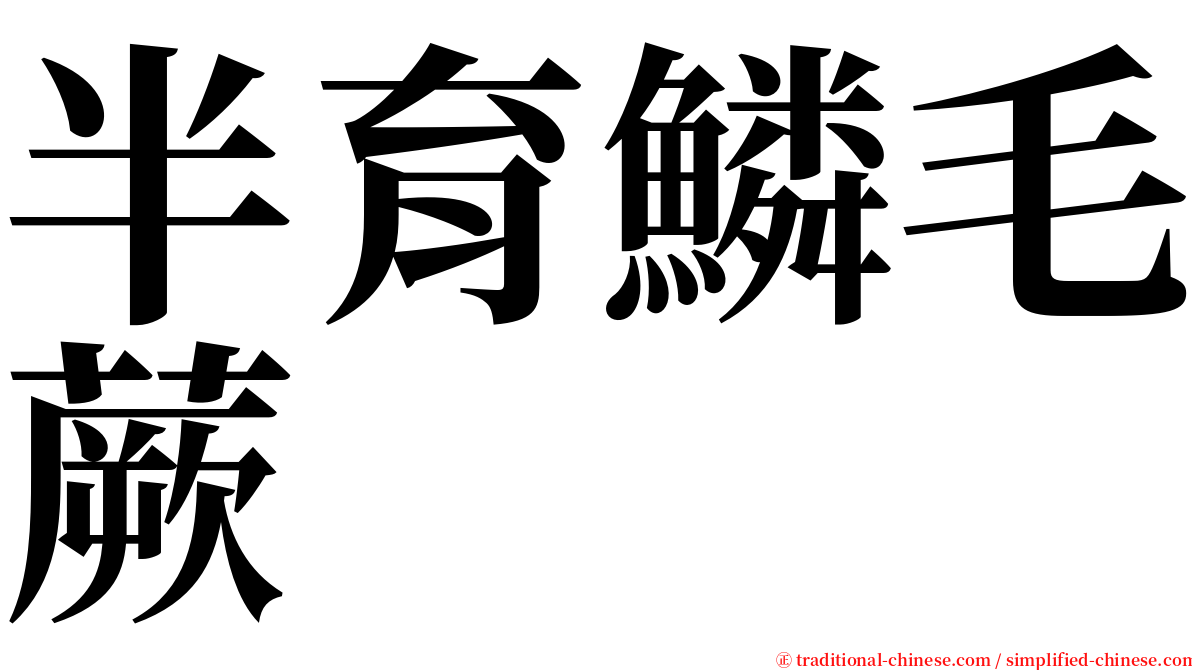 半育鱗毛蕨 serif font