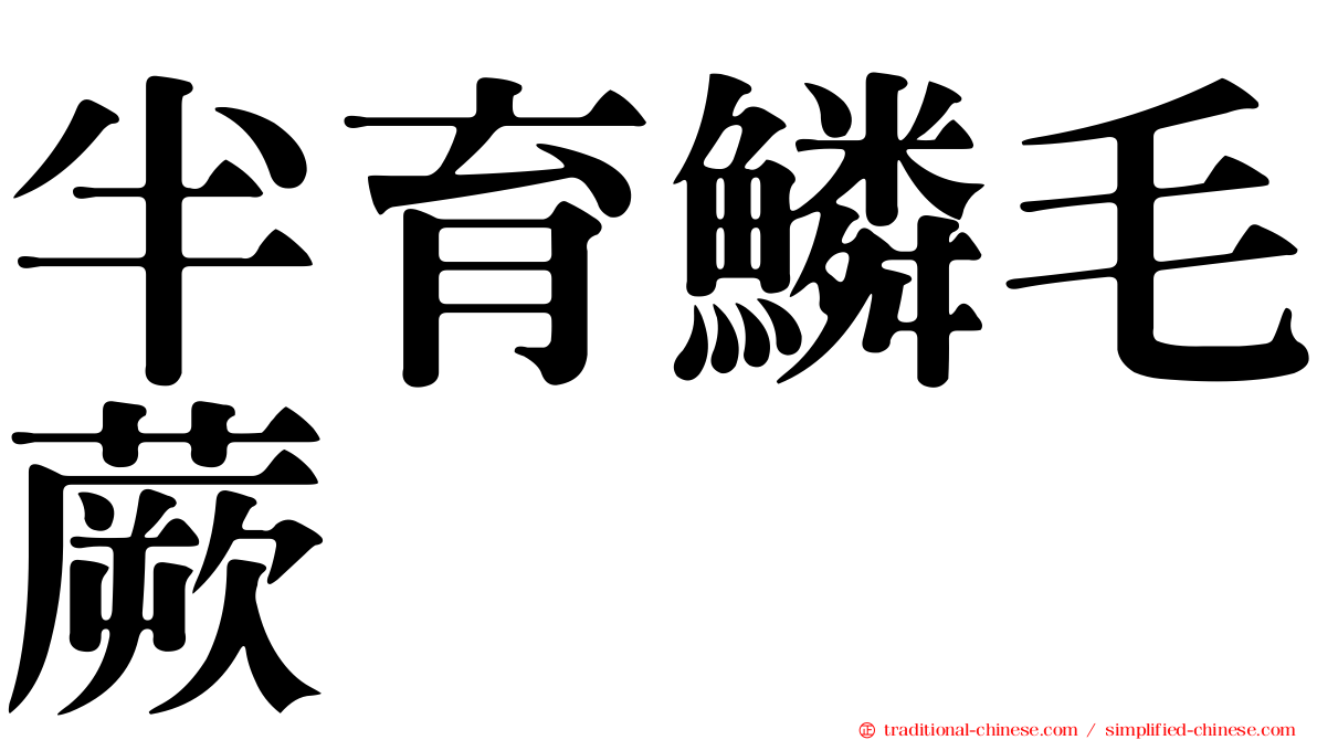 半育鱗毛蕨