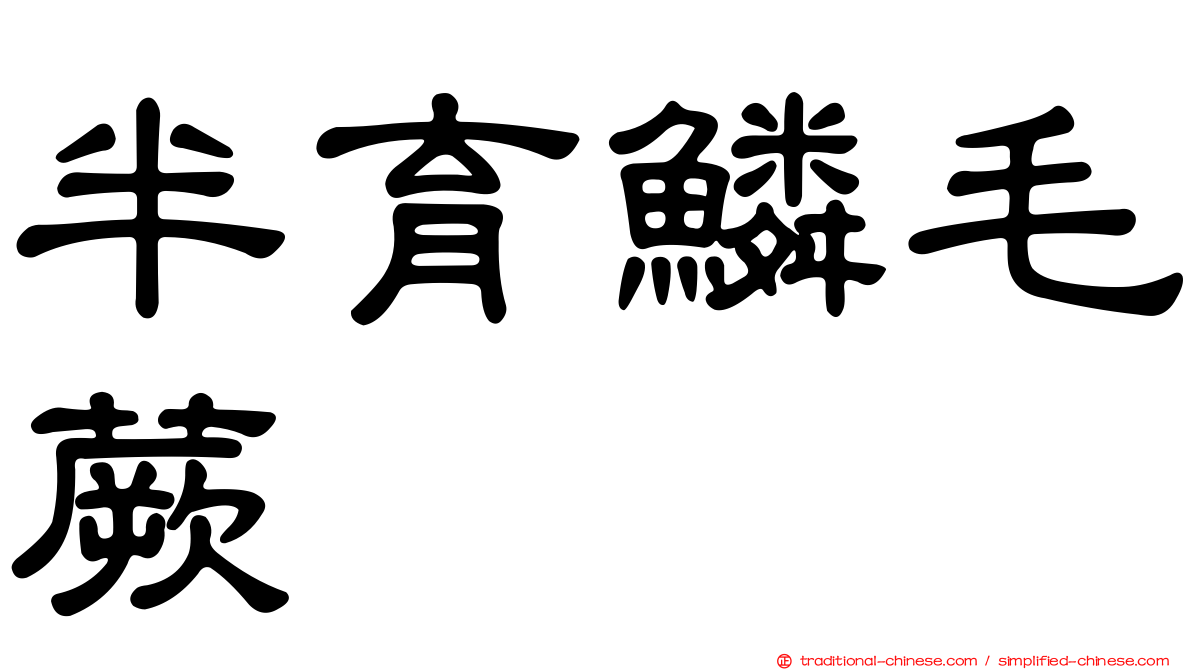 半育鱗毛蕨