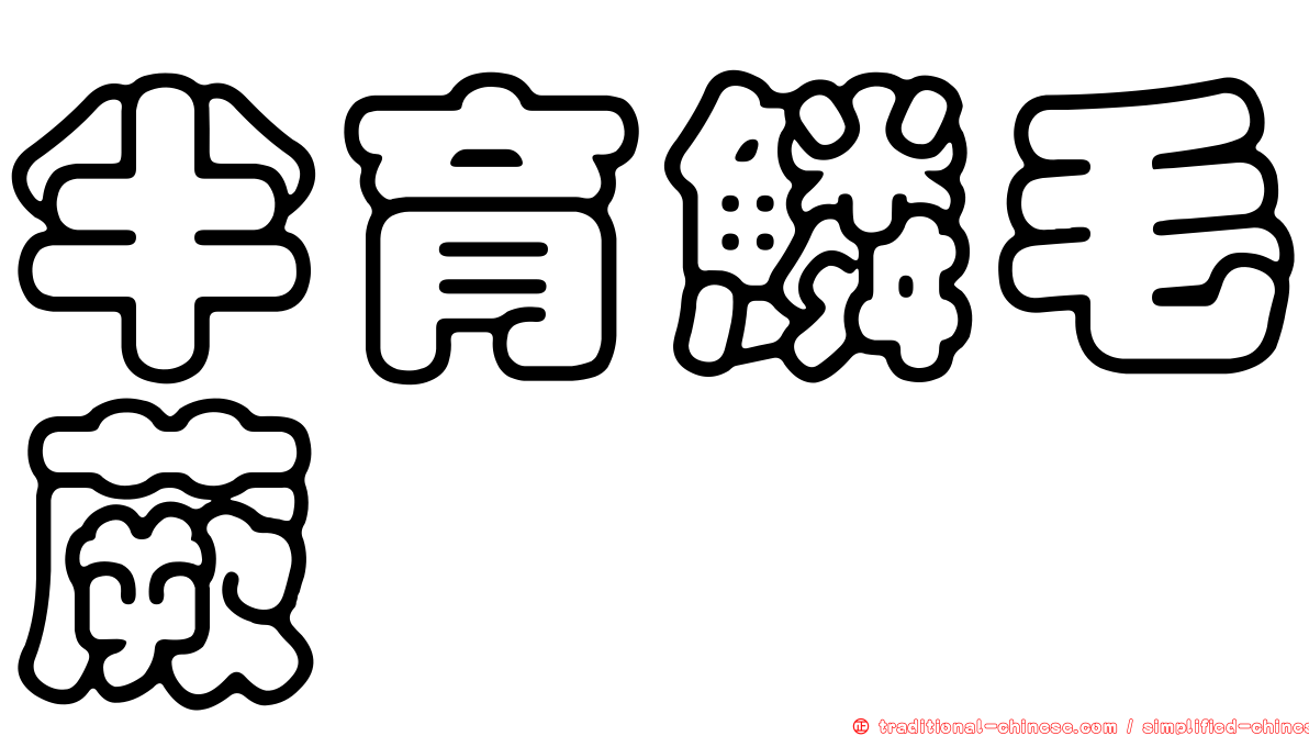半育鱗毛蕨