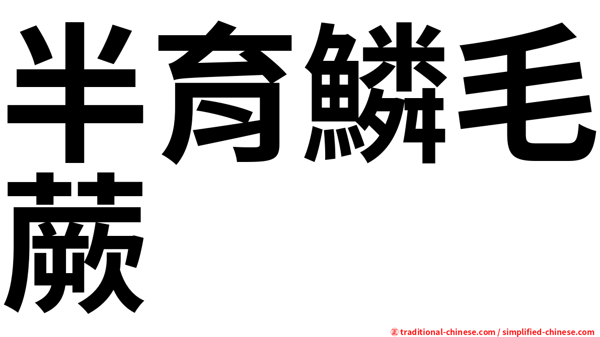 半育鱗毛蕨