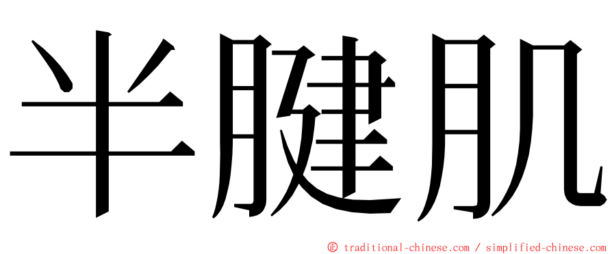 半腱肌 ming font