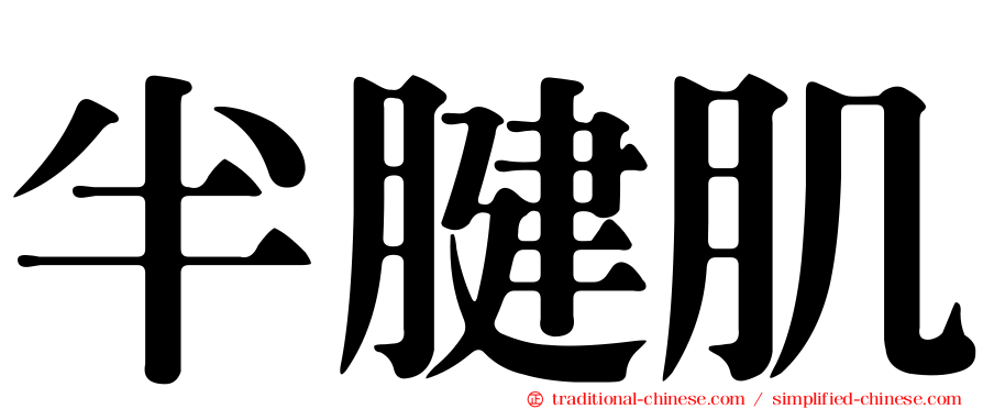 半腱肌