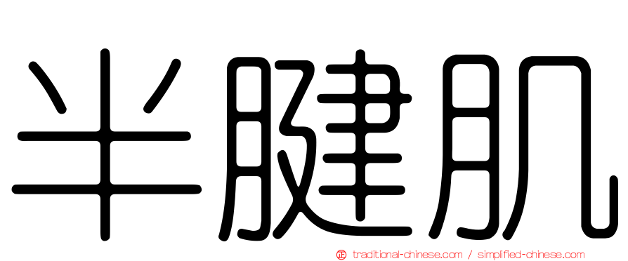 半腱肌