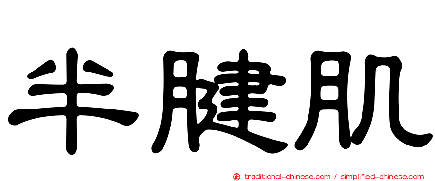 半腱肌