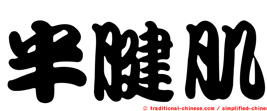 半腱肌