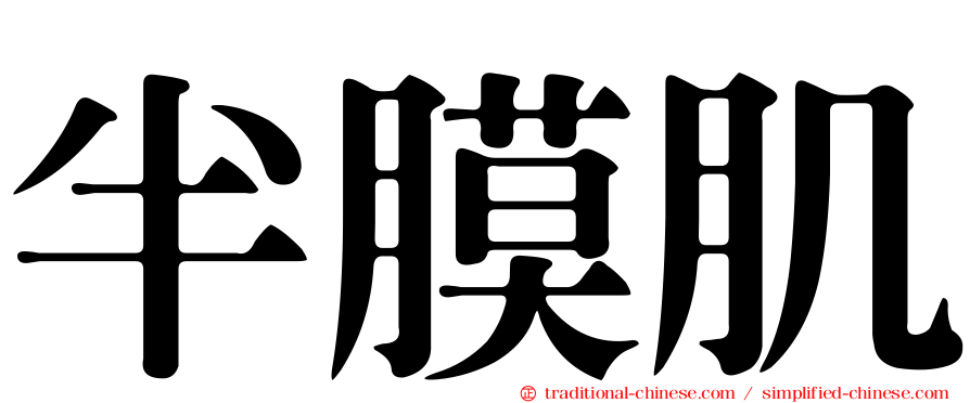 半膜肌