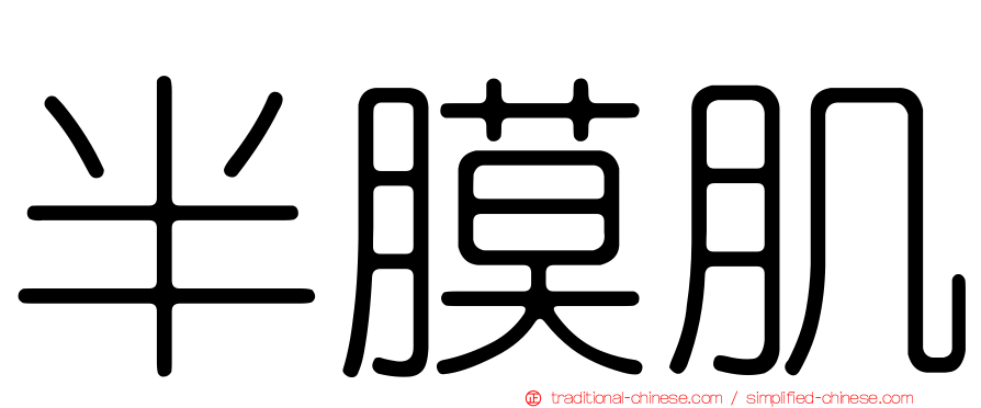 半膜肌