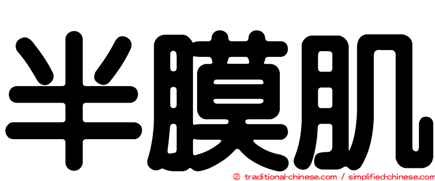 半膜肌