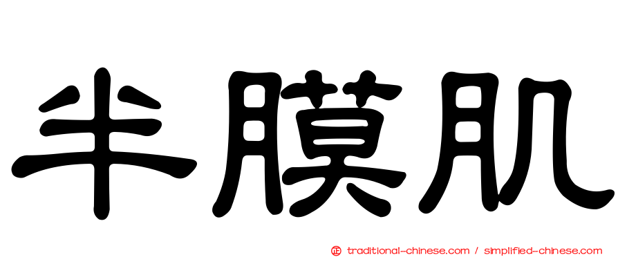 半膜肌