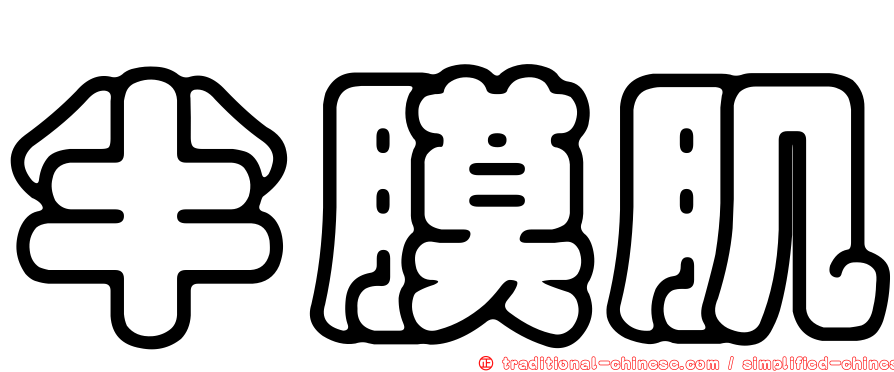 半膜肌