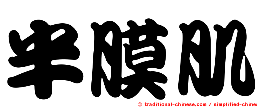 半膜肌