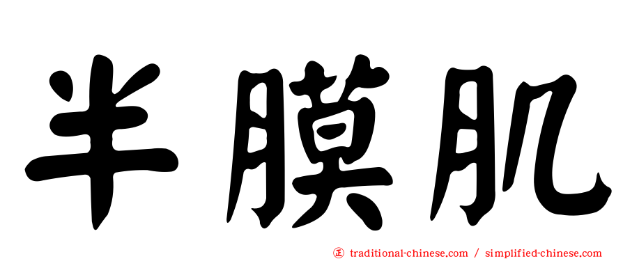 半膜肌