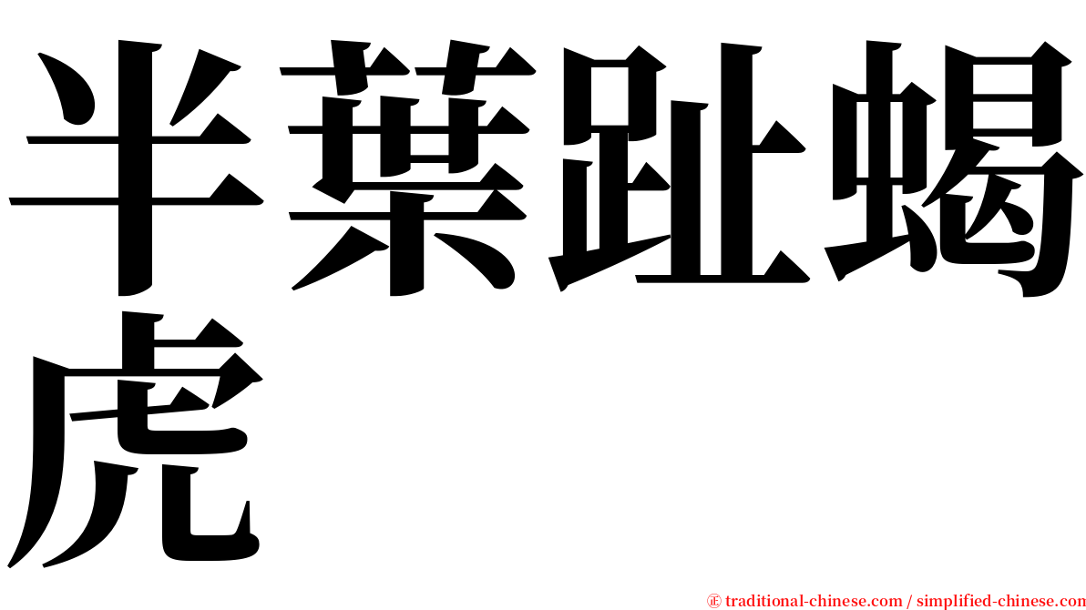 半葉趾蝎虎 serif font