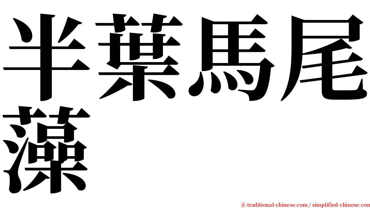 半葉馬尾藻 serif font