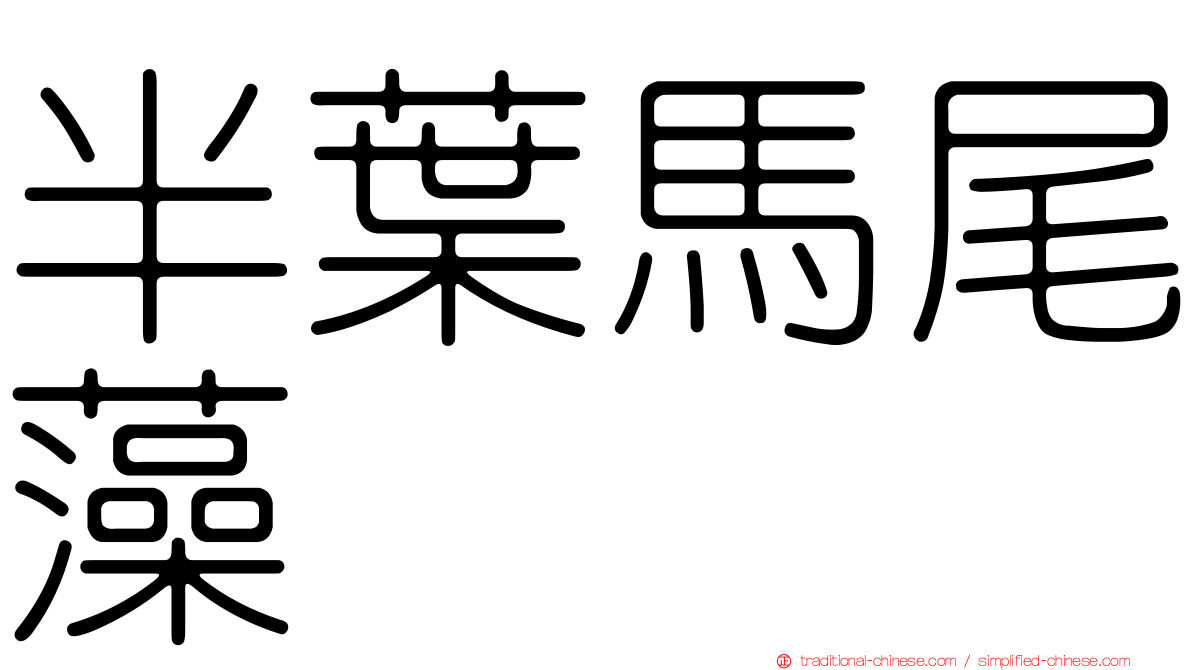 半葉馬尾藻