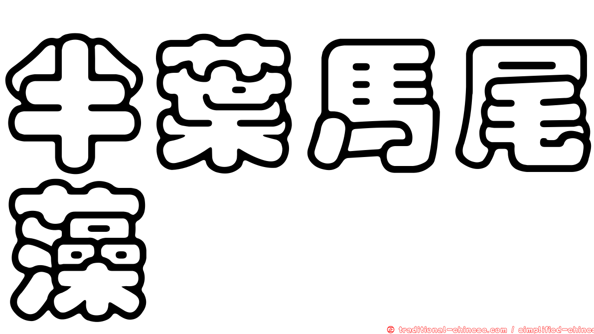 半葉馬尾藻