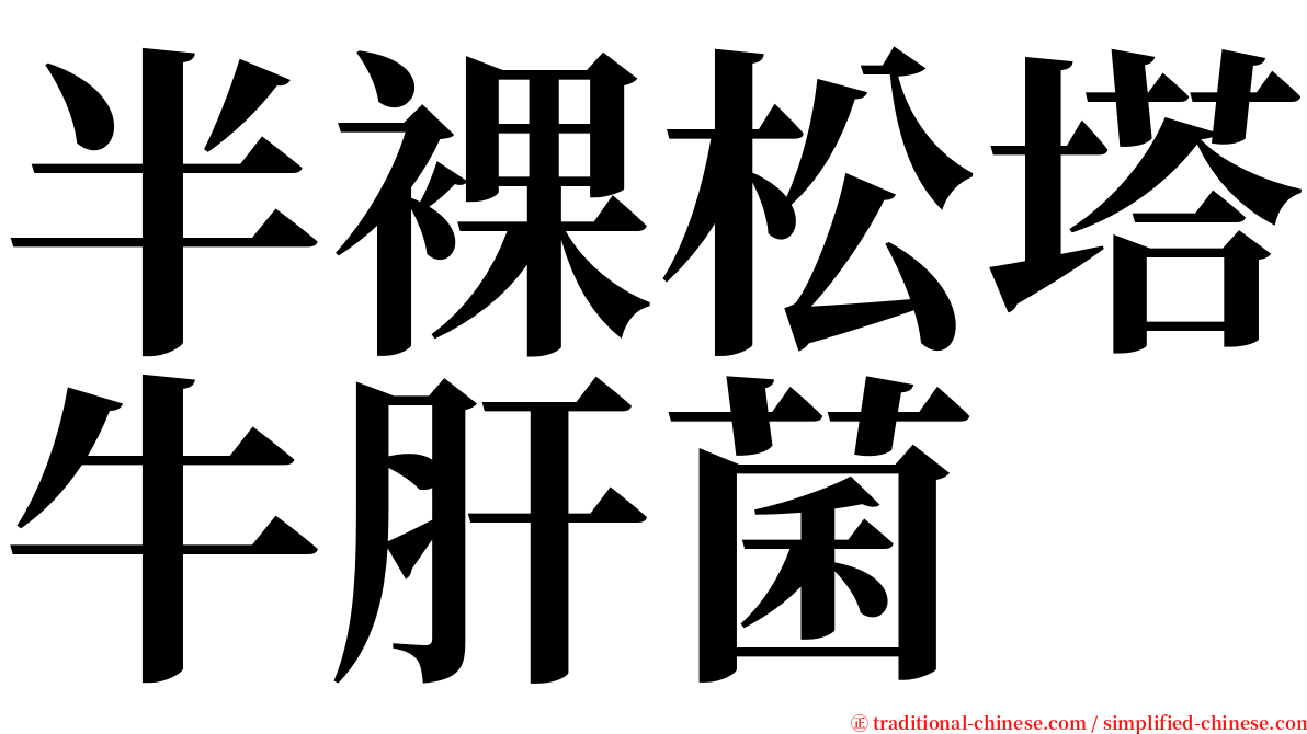 半裸松塔牛肝菌 serif font