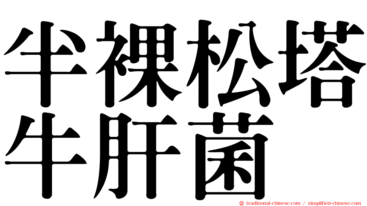 半裸松塔牛肝菌