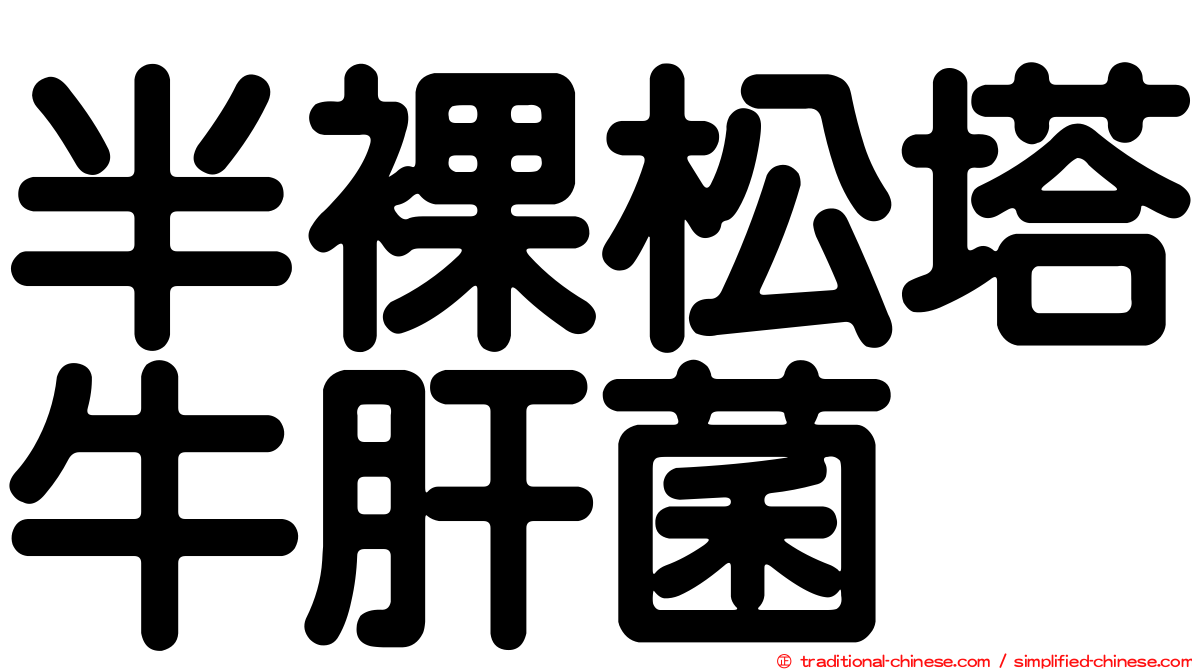 半裸松塔牛肝菌