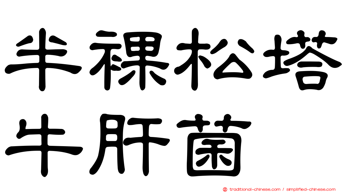 半裸松塔牛肝菌