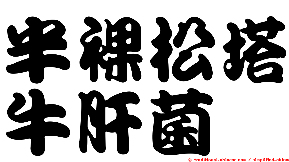 半裸松塔牛肝菌