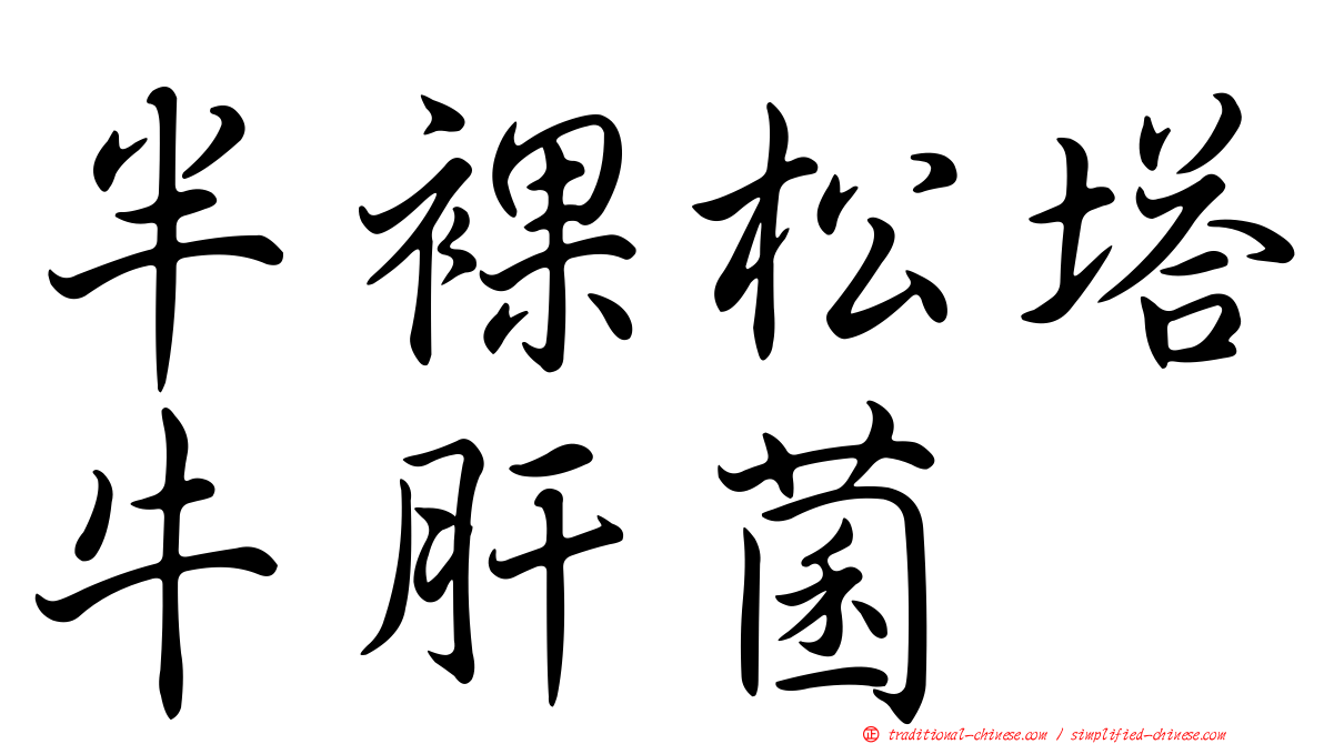 半裸松塔牛肝菌
