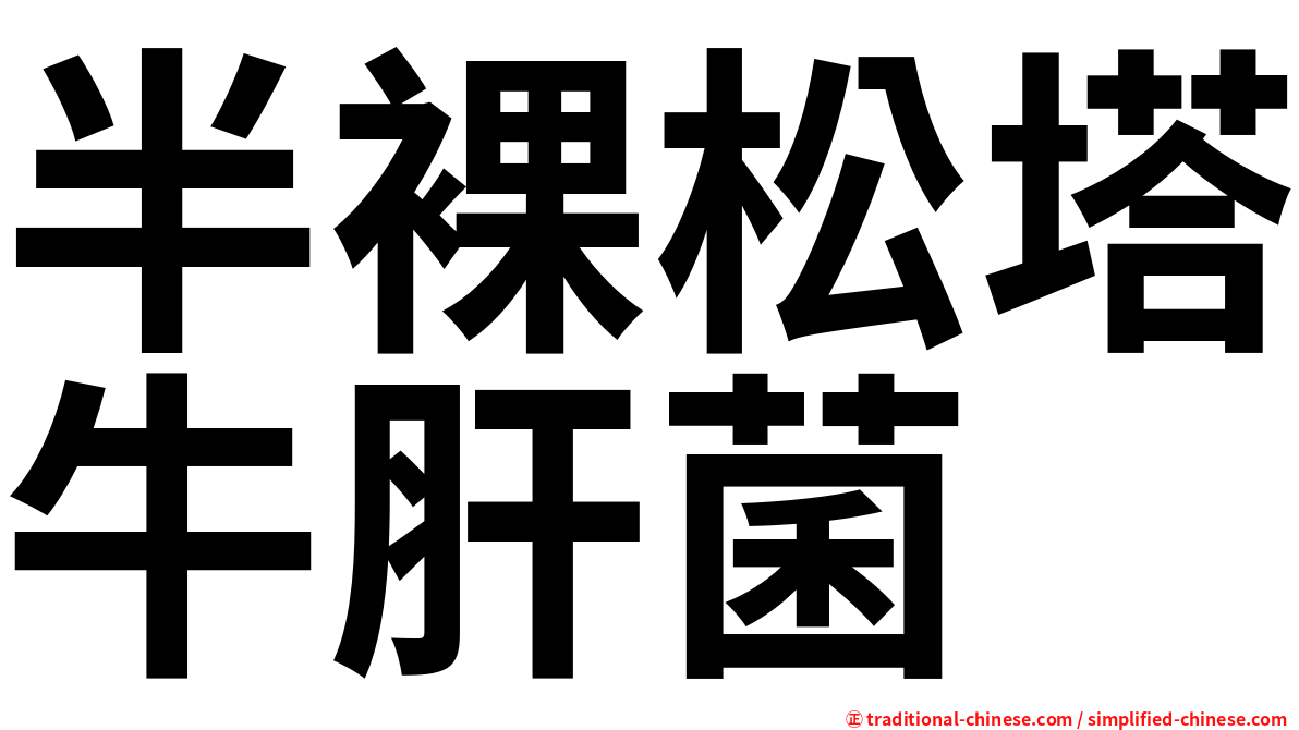 半裸松塔牛肝菌