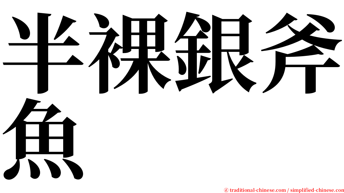 半裸銀斧魚 serif font