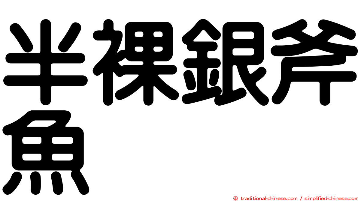 半裸銀斧魚