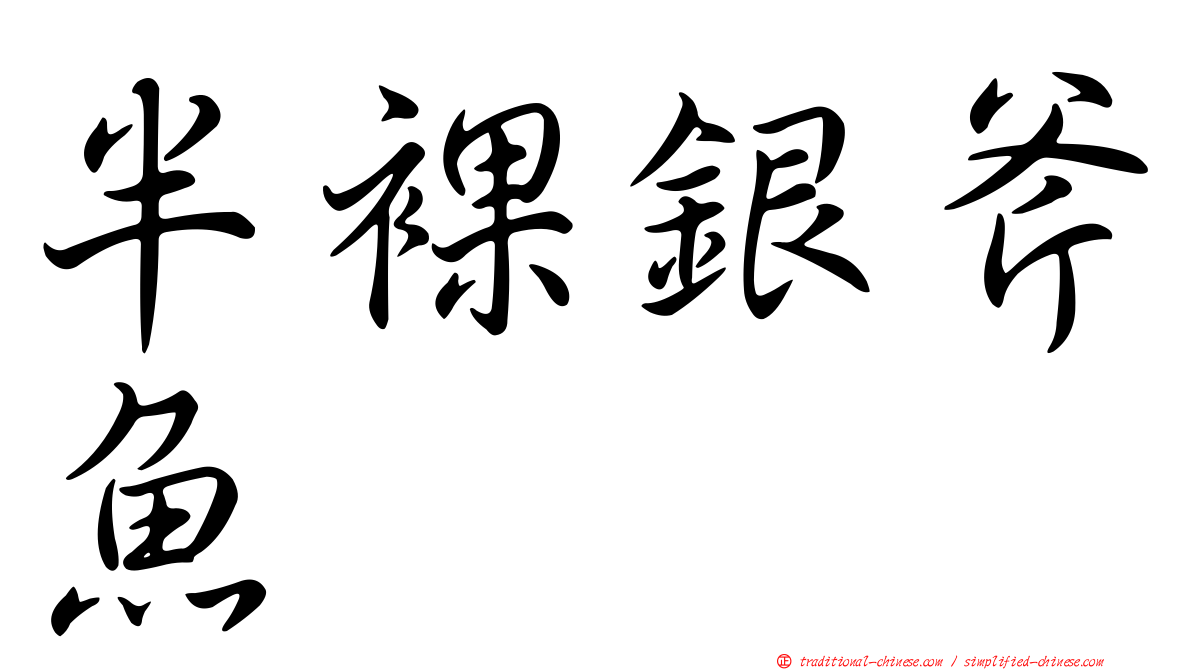 半裸銀斧魚