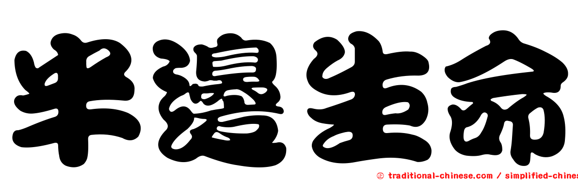 半邊生命