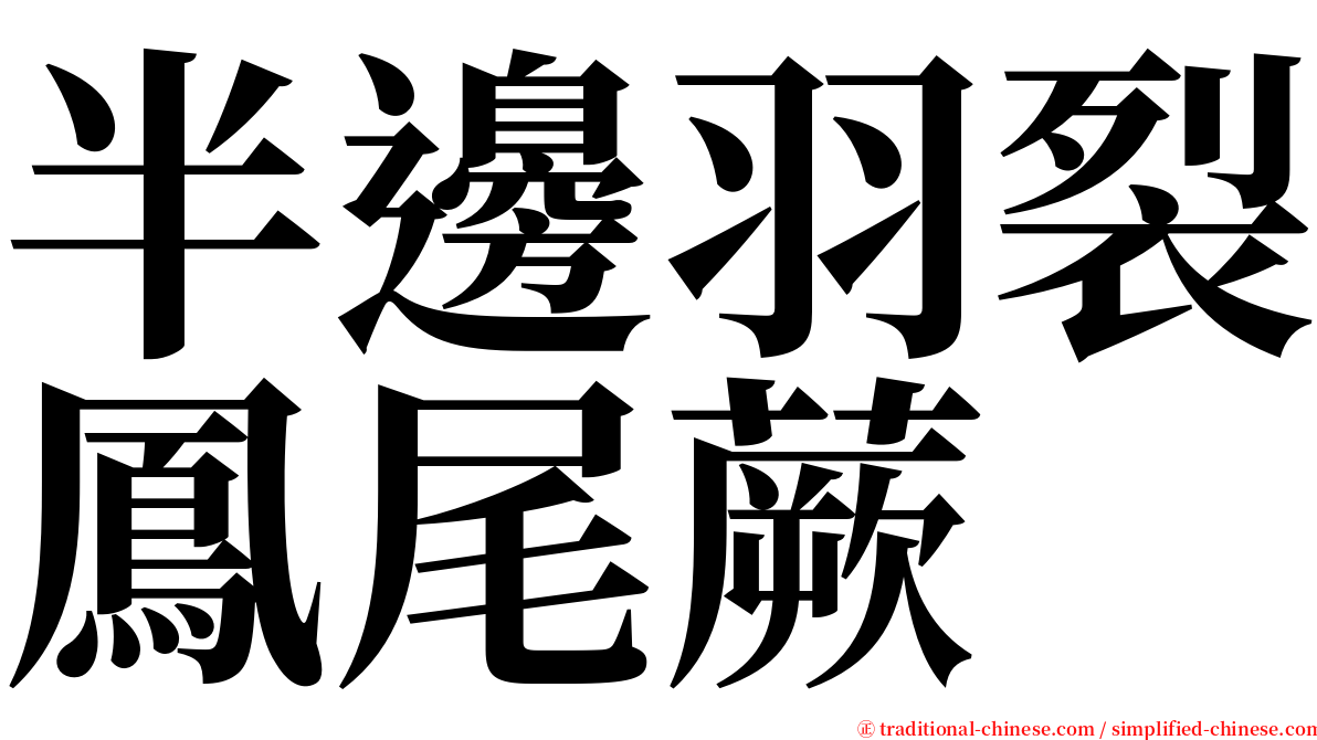 半邊羽裂鳳尾蕨 serif font