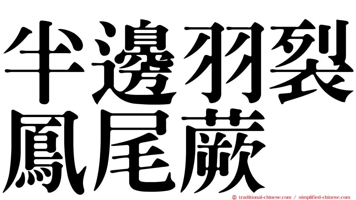 半邊羽裂鳳尾蕨