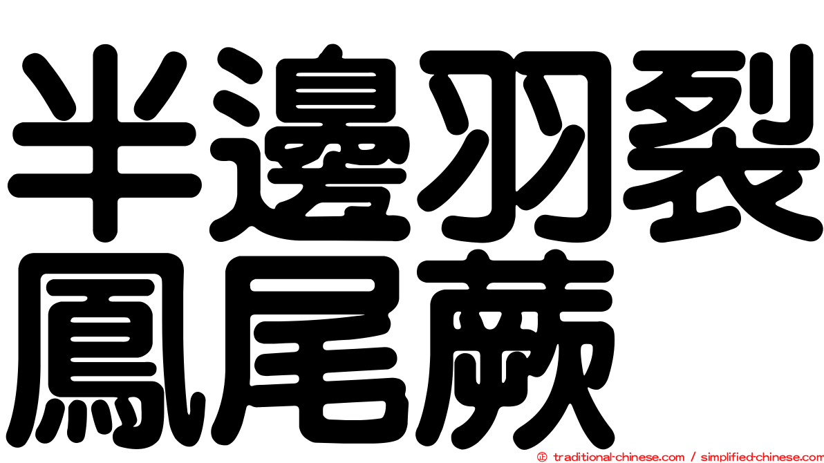 半邊羽裂鳳尾蕨