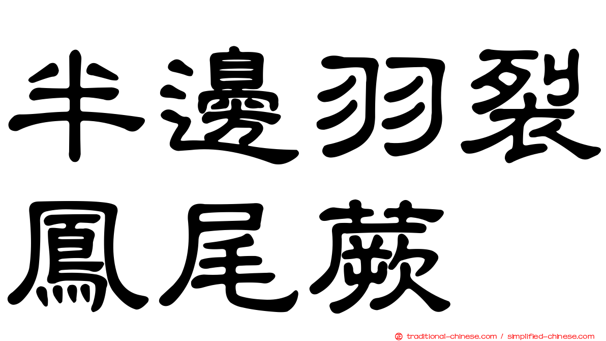 半邊羽裂鳳尾蕨