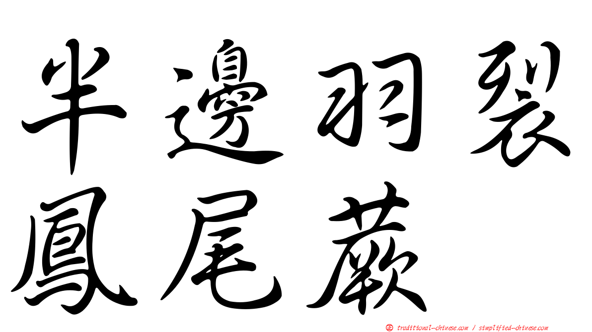 半邊羽裂鳳尾蕨