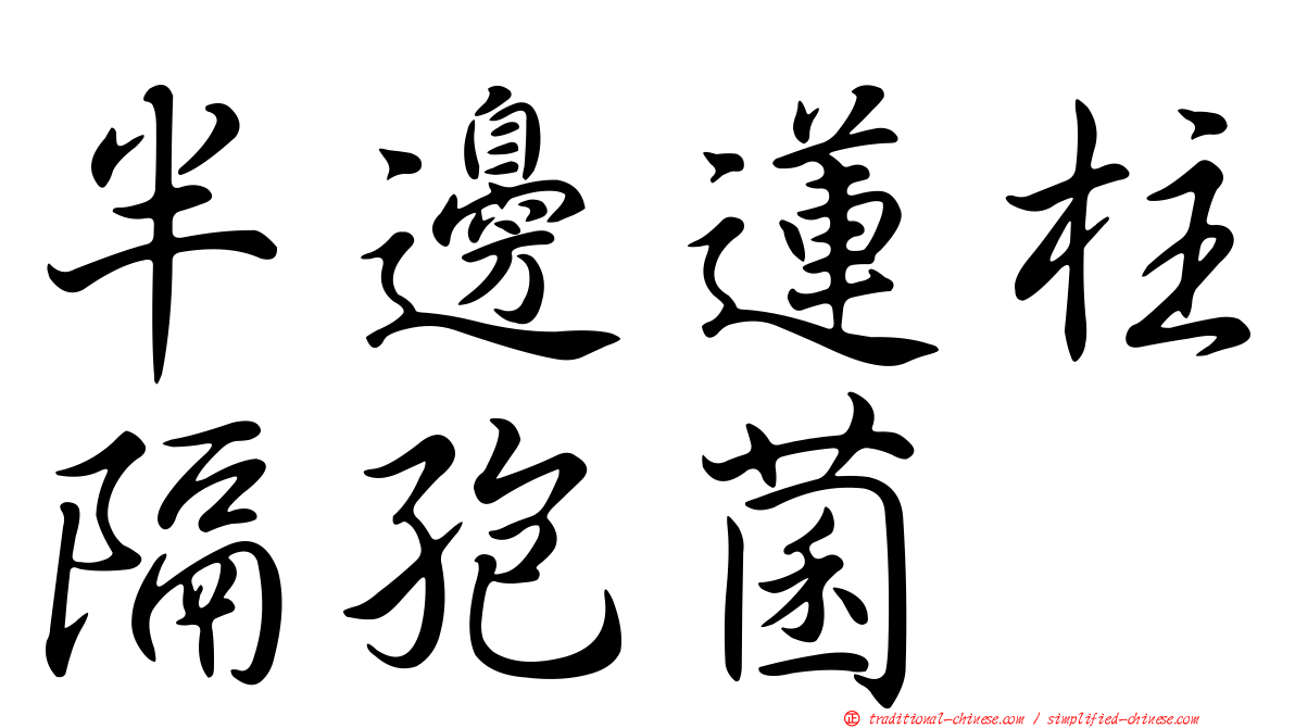 半邊蓮柱隔孢菌