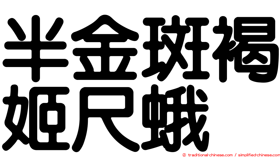 半金斑褐姬尺蛾