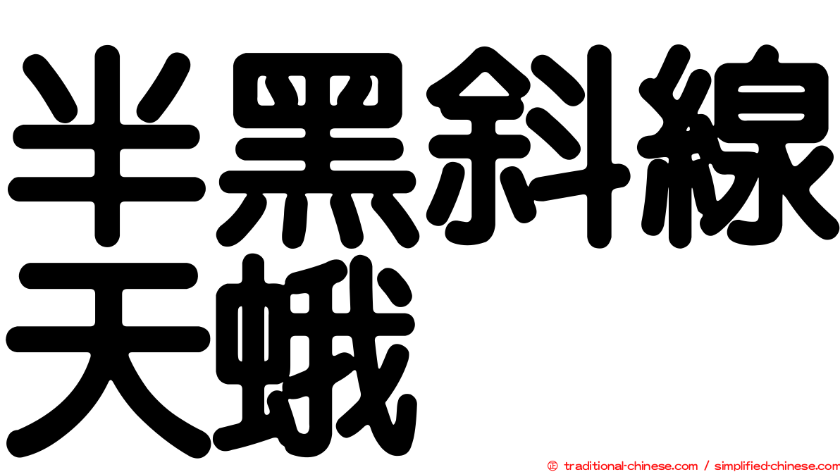 半黑斜線天蛾