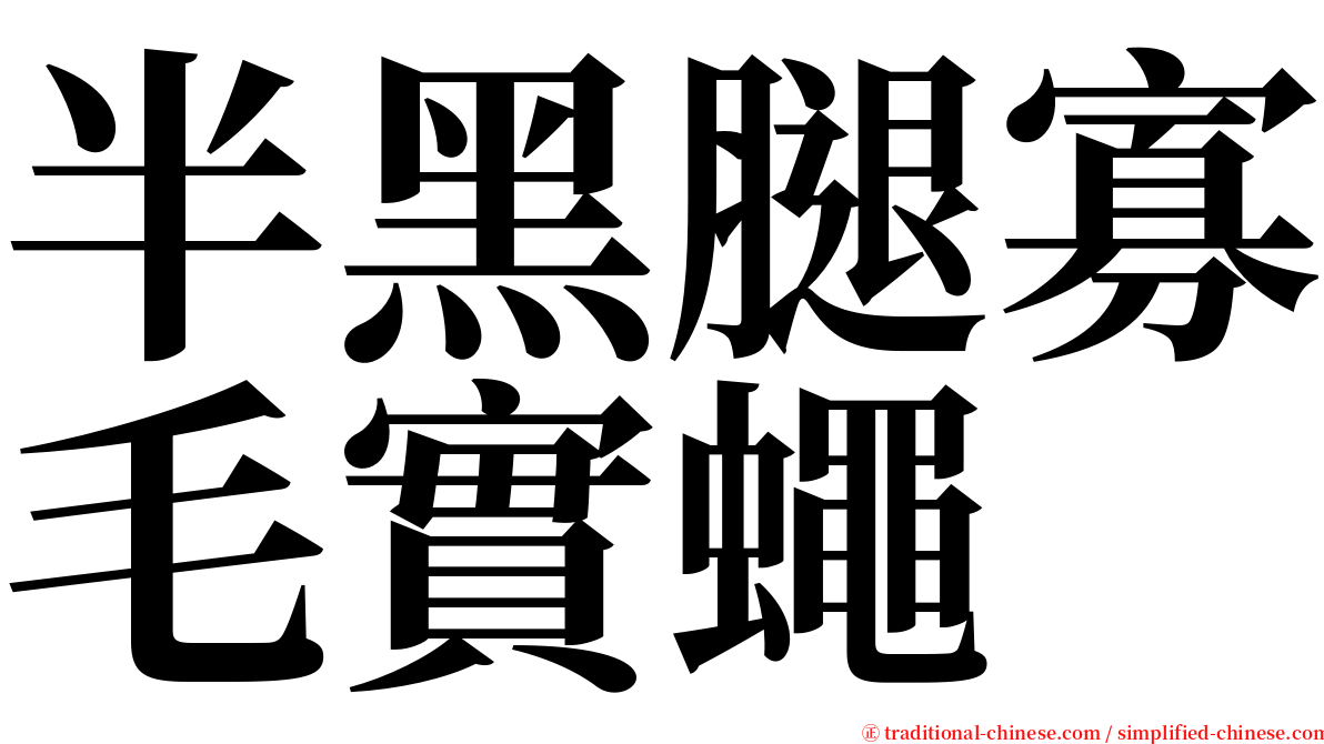 半黑腿寡毛實蠅 serif font