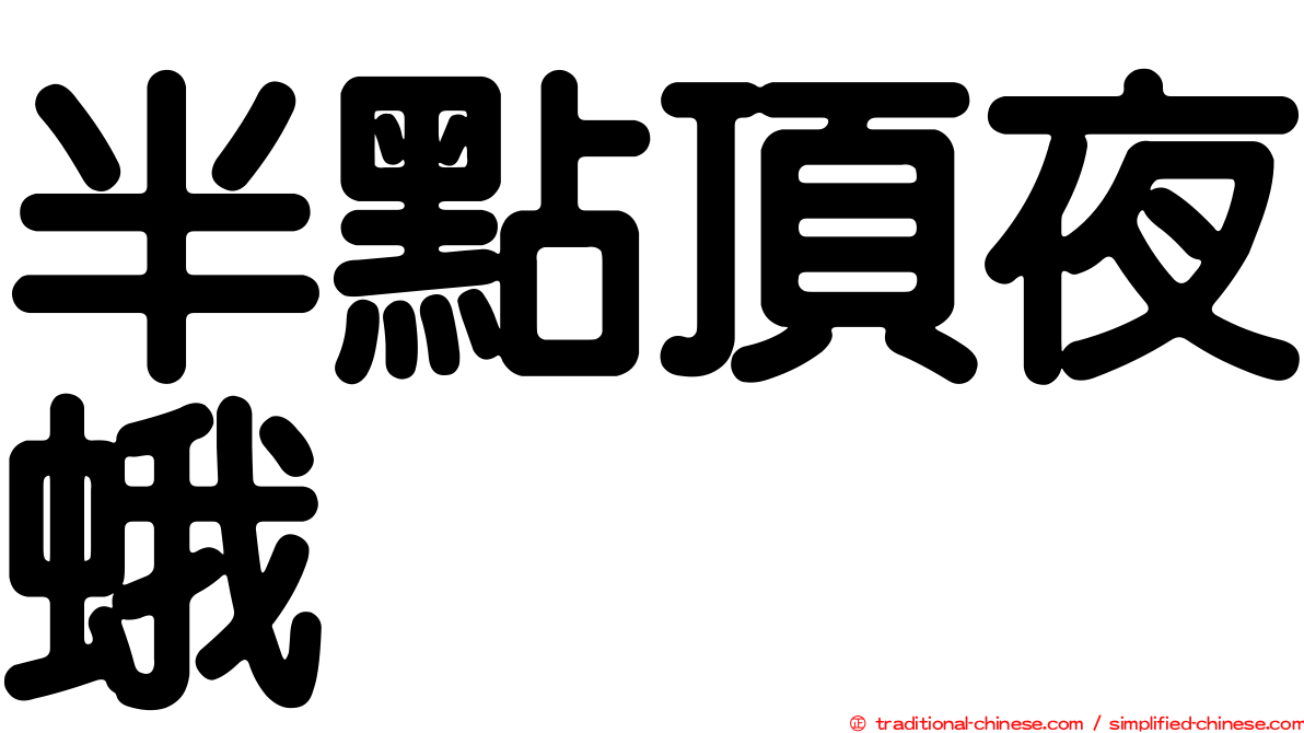 半點頂夜蛾