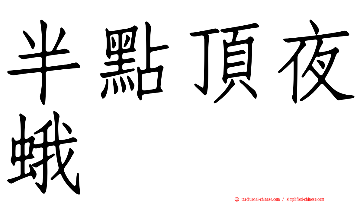 半點頂夜蛾