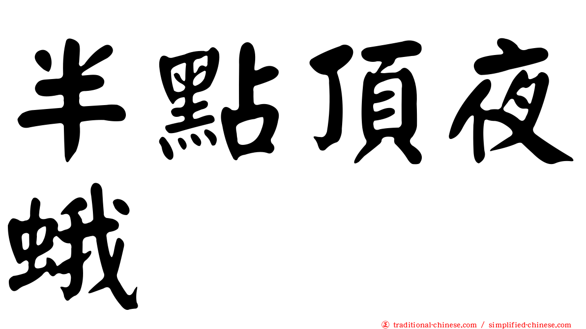 半點頂夜蛾