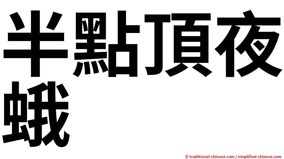 半點頂夜蛾