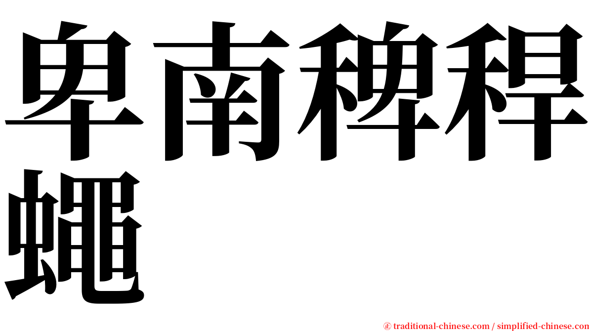 卑南稗稈蠅 serif font