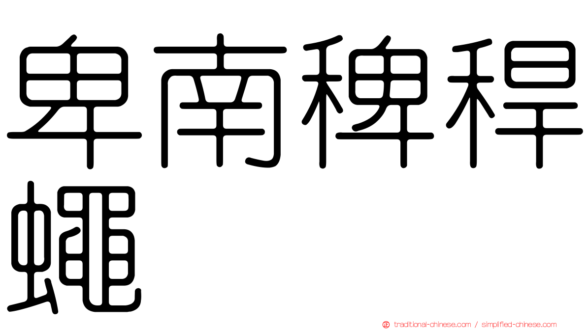 卑南稗稈蠅